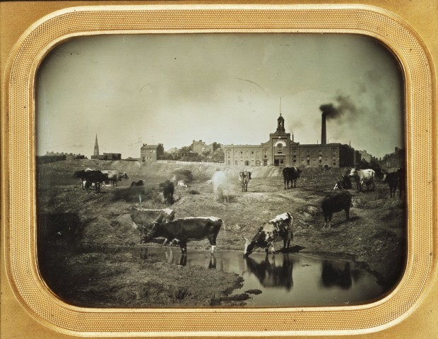 Look Back: Cholera epidemic of 1849